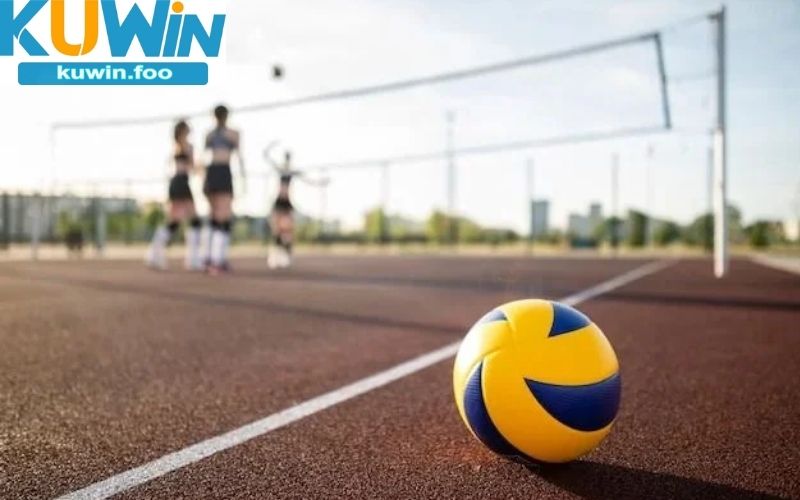 Tìm hiểu thông tin cơ bản về cá độ bóng chuyền tại kuwin