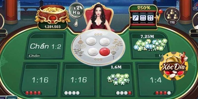 Tổng quan về xóc đĩa và nguyên tắc vận hành